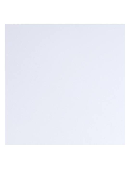 E3829M - Blanc Mat